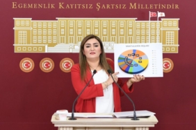 2-CHP-MP-Sevda-Erdan-Kilics-press-statement-about-the-report-on-children-killed-in-femicide-_Credit-Cinar-Ozer-800x538 (1)
