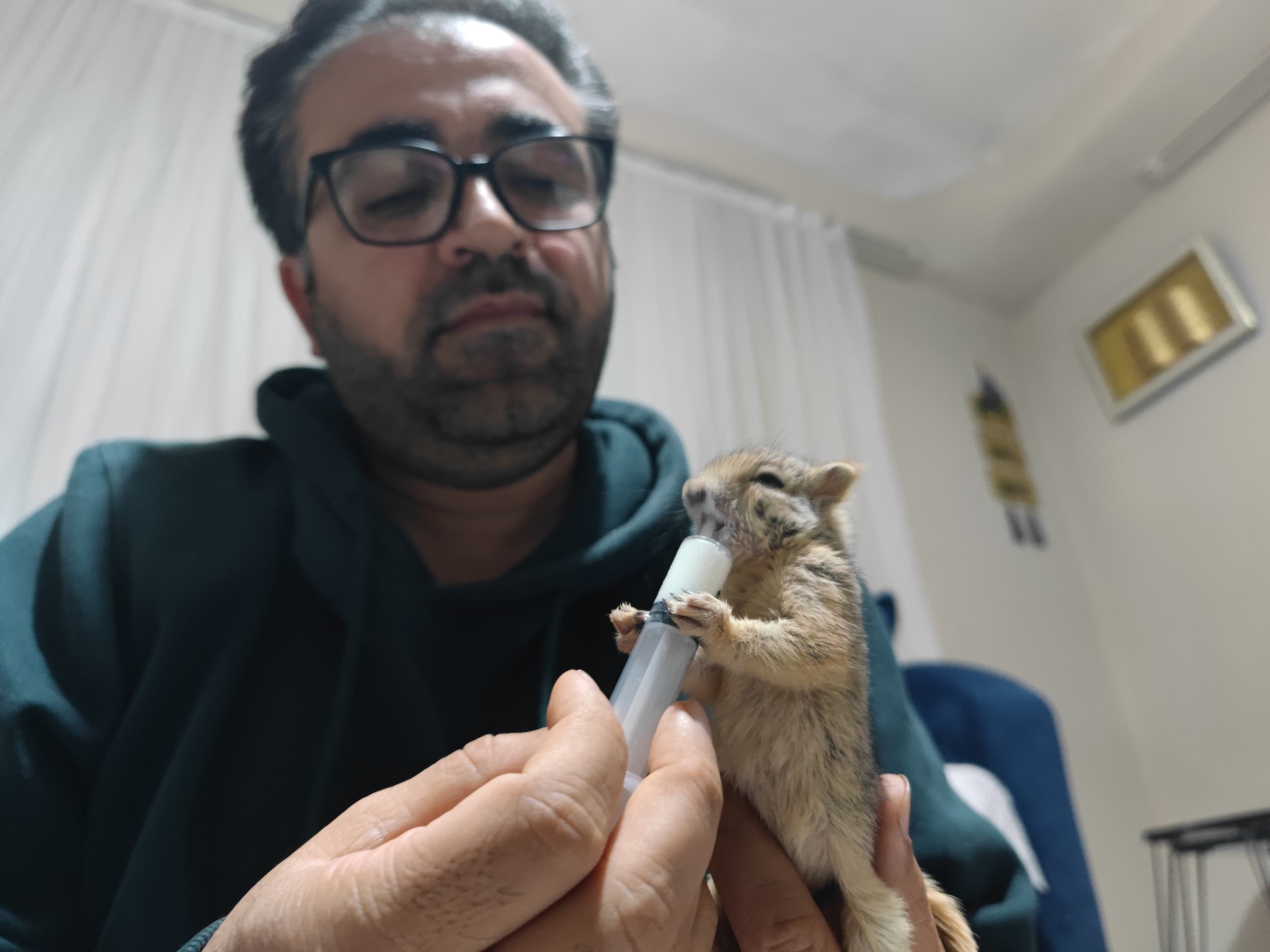 Doğada Bulduğu Sincabı Sahiplendi, Elleriyle Besliyor 1 Doğada Bulduğu Sincabı Sahiplendi, Elleriyle Besliyor