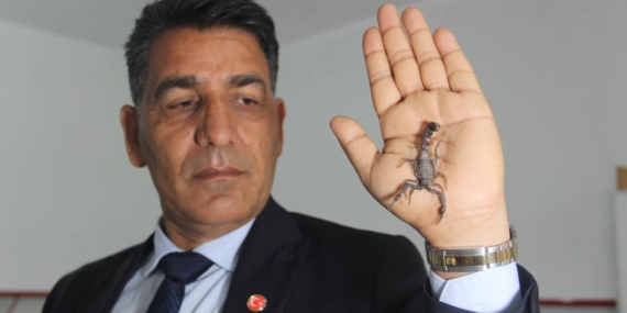 Dünyanın En Pahalı Sıvısını Üreten Urfalı Akrep Üreticisinden, Akreplerini Koruma Kararına Destek