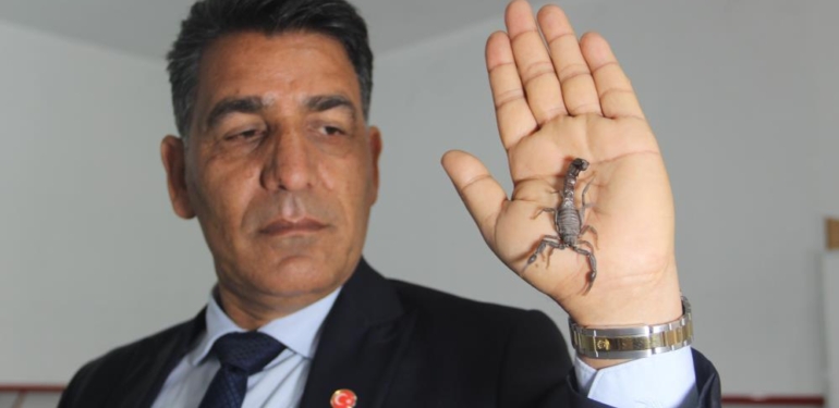 Dünyanın En Pahalı Sıvısını Üreten Urfalı Akrep Üreticisinden, Akreplerini Koruma Kararına Destek