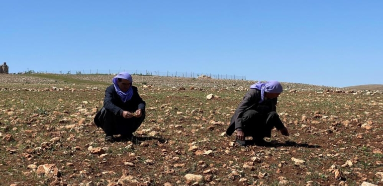 Şanlıurfa’da Kuraklık Alarmı