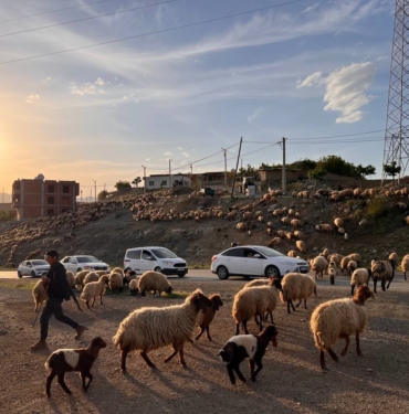 KOÇERLER GÖÇERLERİN FARAŞİN YAYLASI YOLCULUĞU BAŞLADI