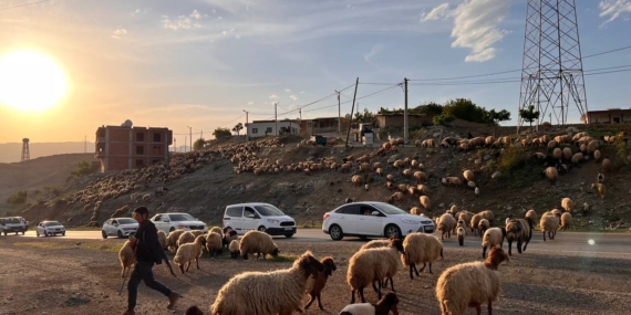 Koçerlerin Faraşin Yaylası Yolculuğu Başladı