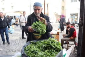 diyarbakirda-75lik-dedenin-50-yillik-zorlu-mesaisi1