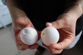 Kolisi 100 TL’ye Satılan Kırık Yumurtaya Talep Yüksek
