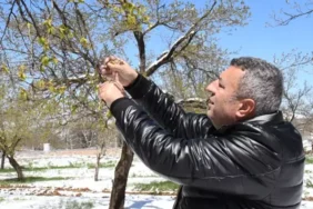 kar-ve-soguk-kentin-bel-kemigini-vurdu-mahsulun-18506531_4426_amp