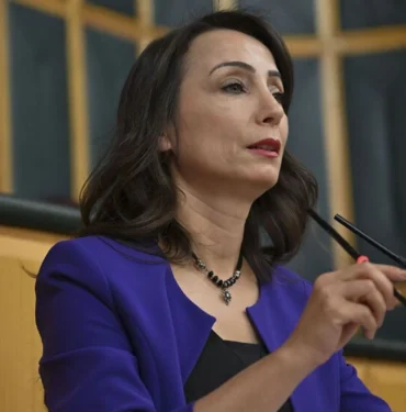 tulay-hatimogullari-3