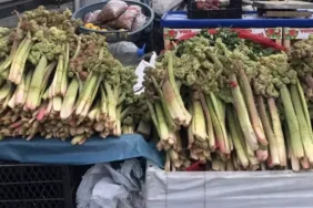 unu-abd-ye-kadar-yayildi-300-liraya-satiliyor-18525057_381_amp