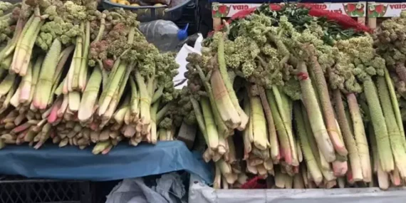 Ünü ABD’ye Kadar Yayıldı! Kanserin Yeni İlacı