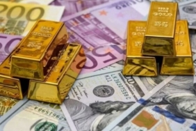 1736149605330-img-2777