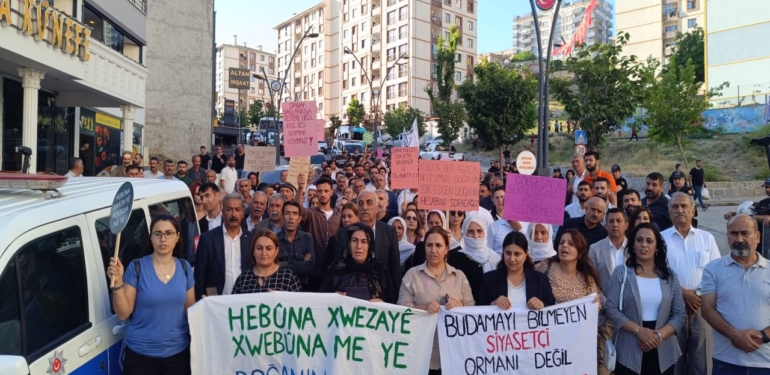 Ağaç Katliamına Karşı Yürüyüş: “Barışı Ağaçtan Başlatalım”