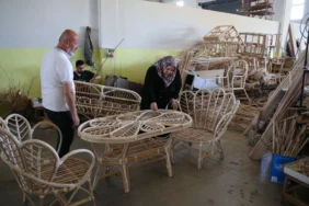 54ef770f-3350-42dc-829b-ded48737da6e