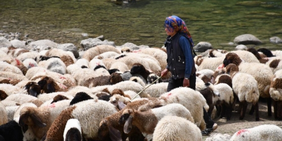 Bir Çocuğun Sessiz Çığlığı: “Hiç Oyuncağım Olmadı”