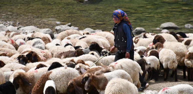 Bir Çocuğun Sessiz Çığlığı: “Hiç Oyuncağım Olmadı”