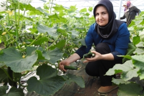 SERACI KADINLAR GÜNLÜK 500 KİLO ÜRÜN ALIYOR