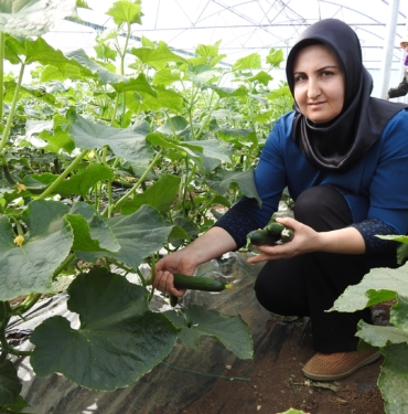 SERACI KADINLAR GÜNLÜK 500 KİLO ÜRÜN ALIYOR