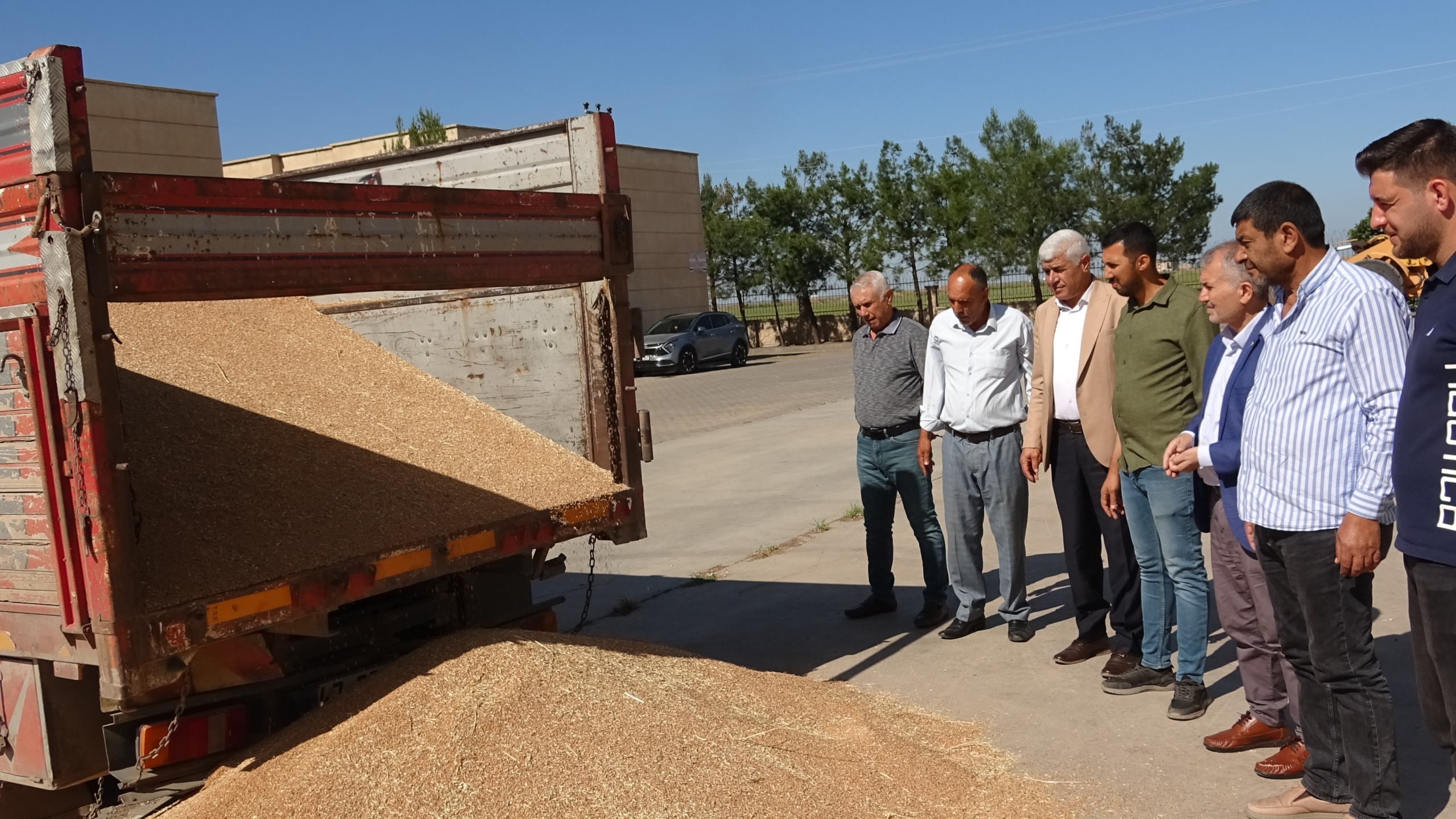 Buğdayda Verim Düştü: 40 Ton Yerine 6 Ton