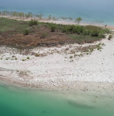 ADIYAMAN'DAKİ MARTI ADASI'NDA KULUÇKA DÖNEMİ YAŞANIYOR