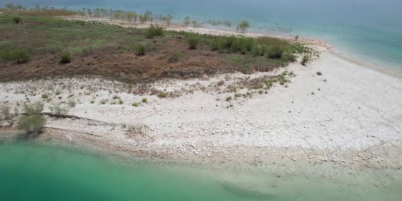 Martı Adası’nda Kuluçka Dönemi Yaşanıyor