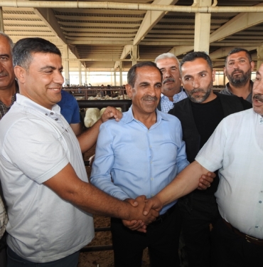 KURBAN BAYRAMI ÖNCESİ HAYVAN PAZARLARI HAREKETLENDİ