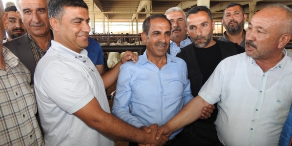 Küçükbaşta Fiyat Değişmedi, Pazarlıklar Hızlandı