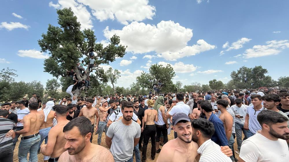 Diyarbakır'da Asırlık Gelenekte Bir Araya Gelen Gençler Birbirlerini Kırbaçlıyor 1 Diyarbakır'da Asırlık Gelenekte Bir Araya Gelen Gençler Birbirlerini Kırbaçlıyor