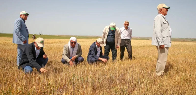 Diyarbakır’da Korkunç Tablo: Yüzde 100’lere Varan Zarar Söz Konusu