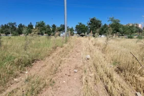 diyarbakirin-fidan-mezarligi3