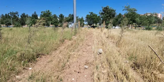 Diyarbakır’ın Fidan Mezarlığı: 11 Yılda 4 Vali, 3 Rektör Yeşertemedi!