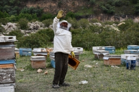 ARICILAR DOĞAL BAL İÇİN YOLLARDA