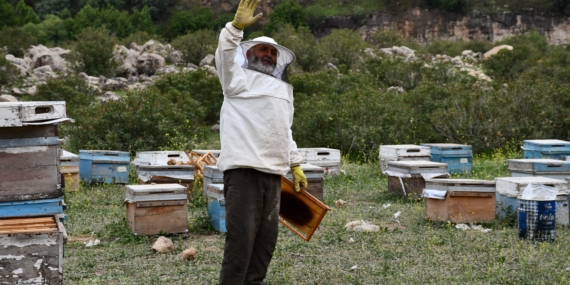 Balın Göçü Başladı: Arıcılar Doğallığın İzinde