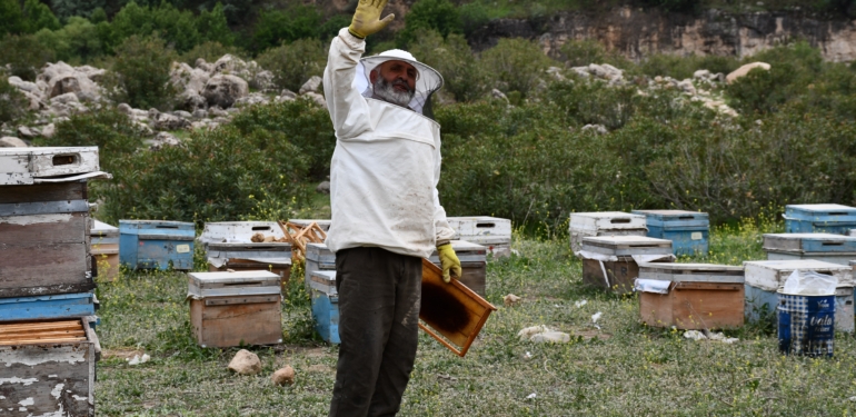 Balın Göçü Başladı: Arıcılar Doğallığın İzinde