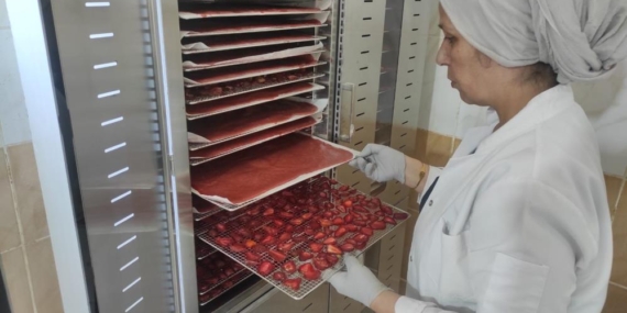 Batman’da Girişimci Kadınlar, Organik Çilek Lokumu Üretiyor