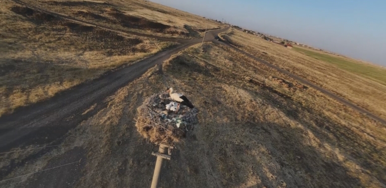 Leylekler Yuvalarına Döndü