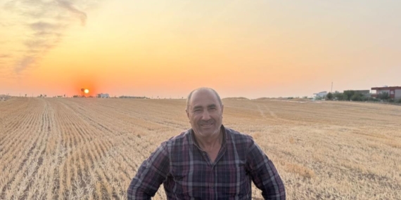 Siirt’te Buğday Hasadında Çiftçiler Umduklarını Bulamadı