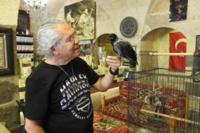 ESNAFIN SAHİPLENDİĞİ KARGA İLE DOSTLUĞU GÖRENLERİ HAYRETE ÇEVİRİYOR