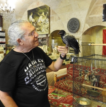 ESNAFIN SAHİPLENDİĞİ KARGA İLE DOSTLUĞU GÖRENLERİ HAYRETE ÇEVİRİYOR