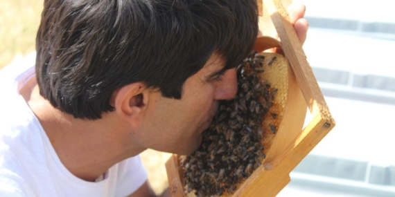 Siirtli Arıcının Arılarla Kurduğu Bağ Görenleri Şaşırtıyor