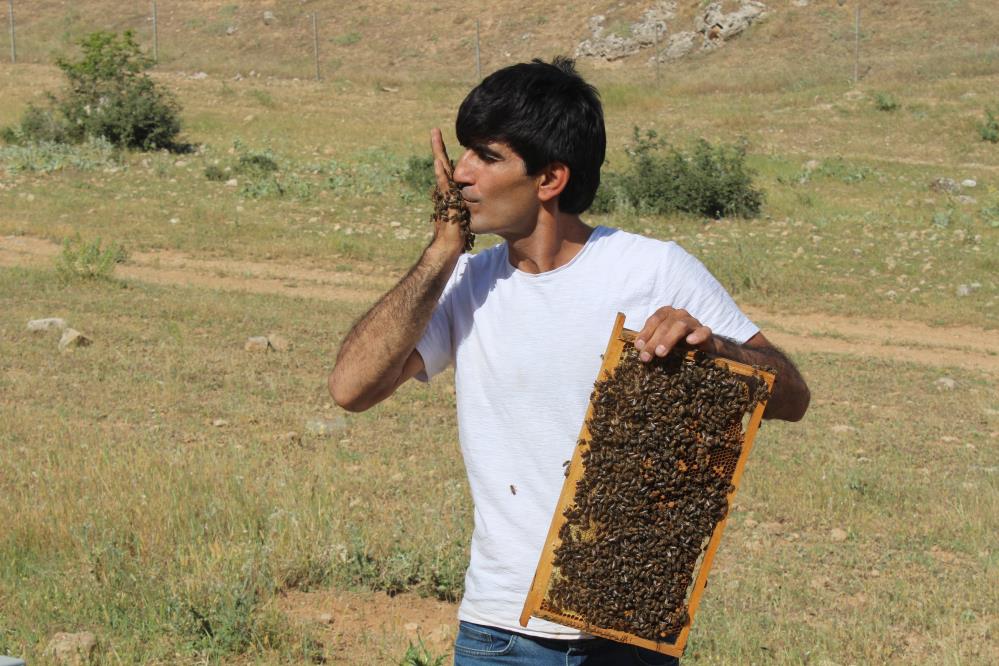 Siirtli Arıcının Arılarla Kurduğu Bağ Görenleri Şaşırtıyor 1 Siirtli Arıcının Arılarla Kurduğu Bağ Görenleri Şaşırtıyor