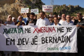 diyarbakirda-15-bin-agac-3-donum-orman-yok-olacak1