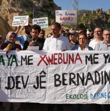 diyarbakirda-15-bin-agac-3-donum-orman-yok-olacak1