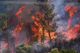 1751285065586-new-project-2