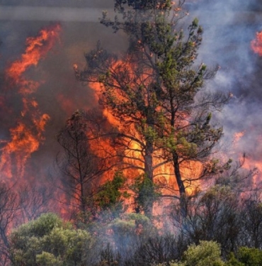 1751285065586-new-project-2