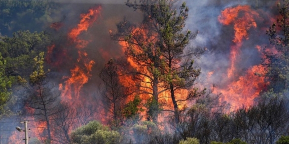 Türkiye’nin Dört Bir Yanında Orman Yangınları! Toplam 262 Yangın Meydana Geldi
