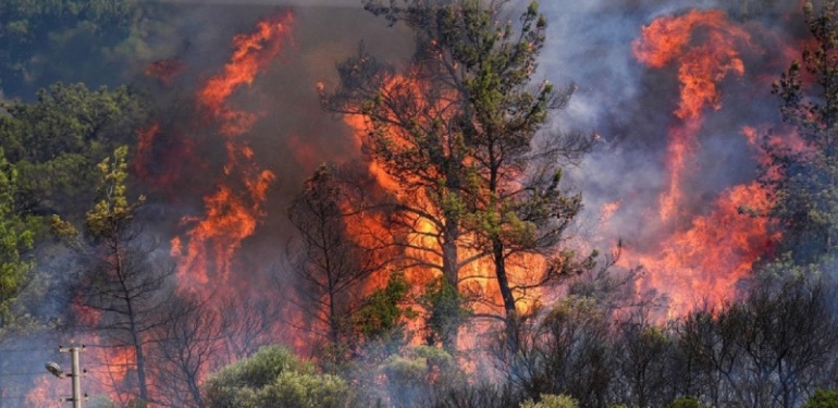 Türkiye’nin Dört Bir Yanında Orman Yangınları! Toplam 262 Yangın Meydana Geldi