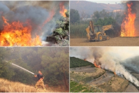 1751354275274-indir-53-1