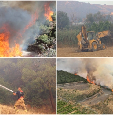 1751354275274-indir-53-1