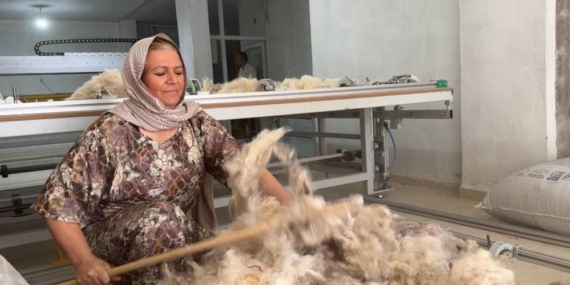 Çöpten Topladığı Yünlerle İş Kurdu