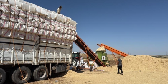 45 Derece Hissedilen Sıcak Havada Saman Yüklüyorlar