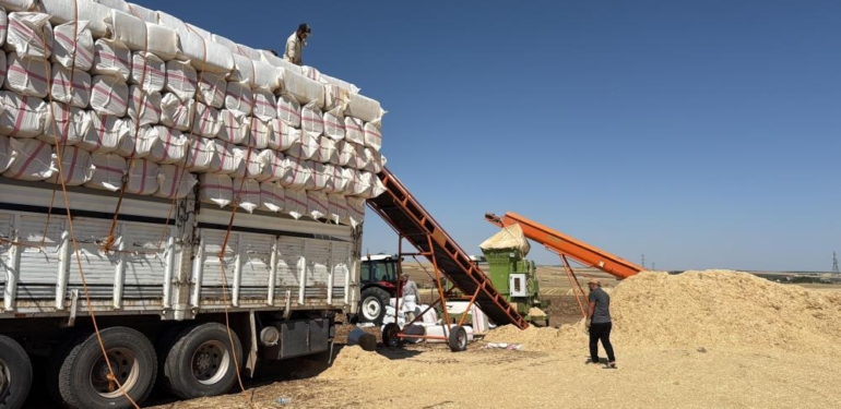 45 Derece Hissedilen Sıcak Havada Saman Yüklüyorlar